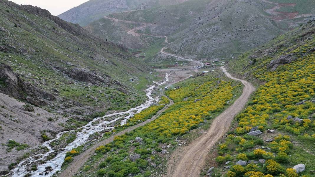 Temmuz ayında çift mevsim: Kel Mehmet Dağları'nın zirvesindeki kar örtüsü büyüledi 6